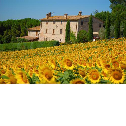 Agriturismo Casale Dei Frontini