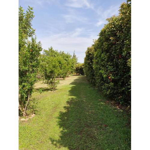 Agriturismo Casapanetta