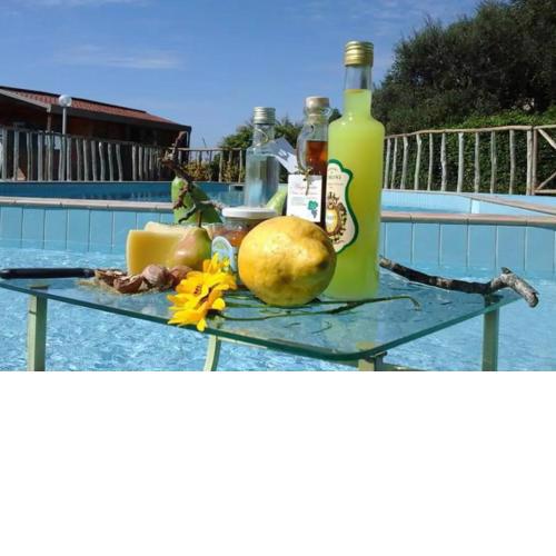 Agriturismo Castanito