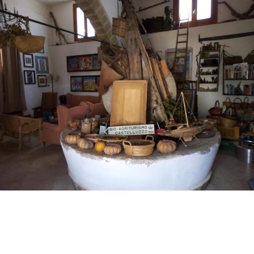 Agriturismo Castelluzzo Organic Farm