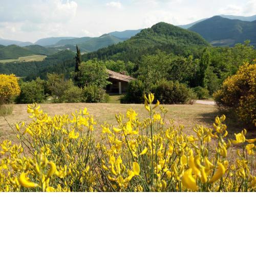 Agriturismo del Frontino - Ca' Marianna