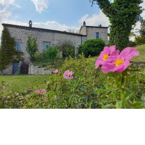 Agriturismo del Frontino - Lo Studio