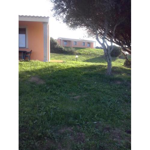 Agriturismo Gli Olivastri con vista mare ,sole -mare e tanta natura