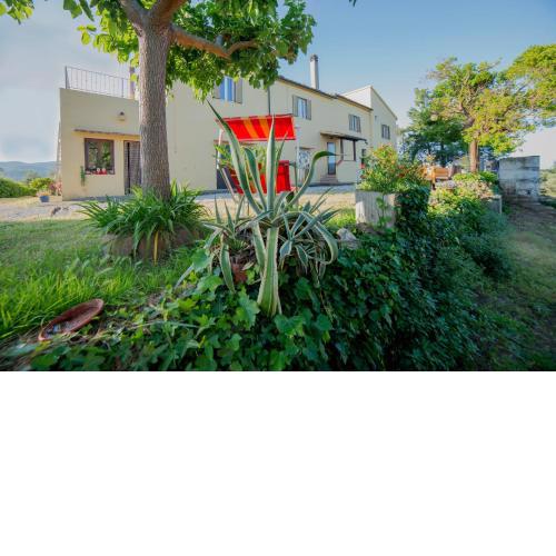 Agriturismo Greppo All'olivo