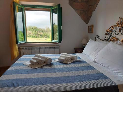 Agriturismo I Girasoli di Lari Appartamento indipendente 2 camere da letto