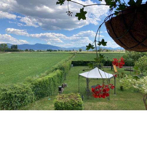 Agriturismo Il Casale Grande