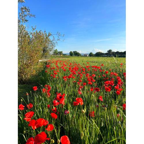 Agriturismo IL GROTTINO