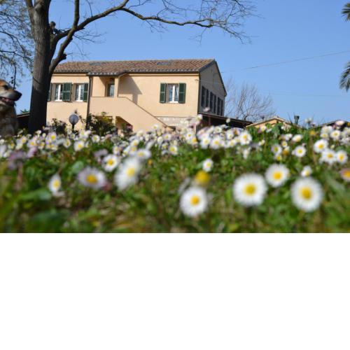 Agriturismo il mandorlo