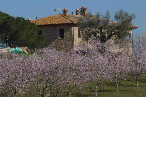 Agriturismo Il Sassolino