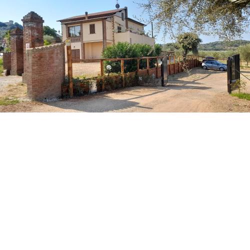 Agriturismo IL VECCHIO OLIVO