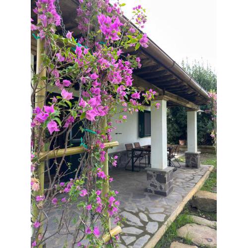Agriturismo Iride