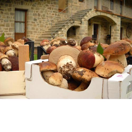 Agriturismo La Casa del Sarto