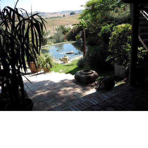 Agriturismo la Collinetta