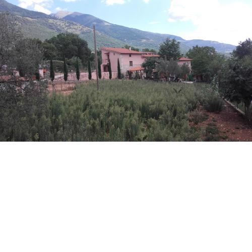 Agriturismo La Fattoria