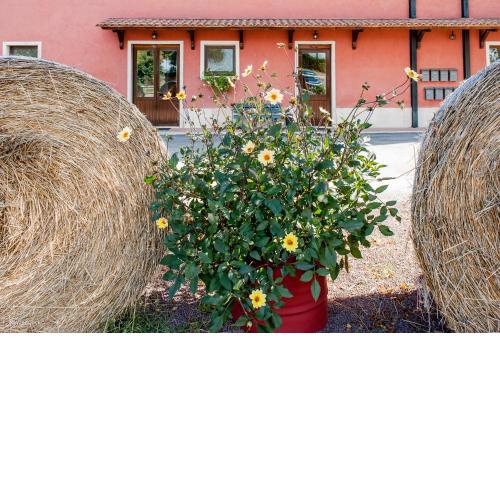 Agriturismo La Meridiana