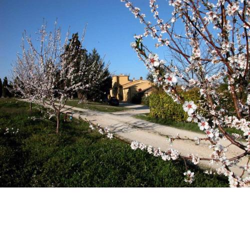 Agriturismo Le magnolie
