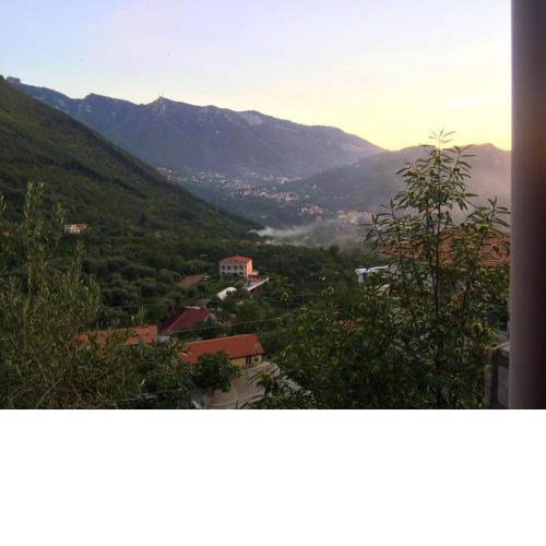 Agriturismo L'Uliveto B&b