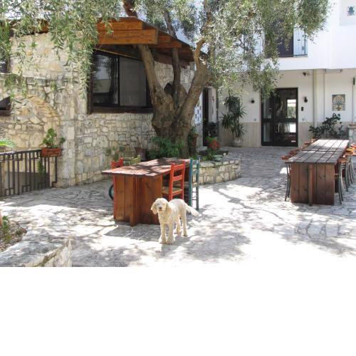 Agriturismo Mafrolla