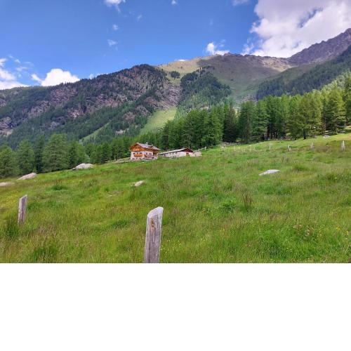 Agriturismo Malga Pontevecchio