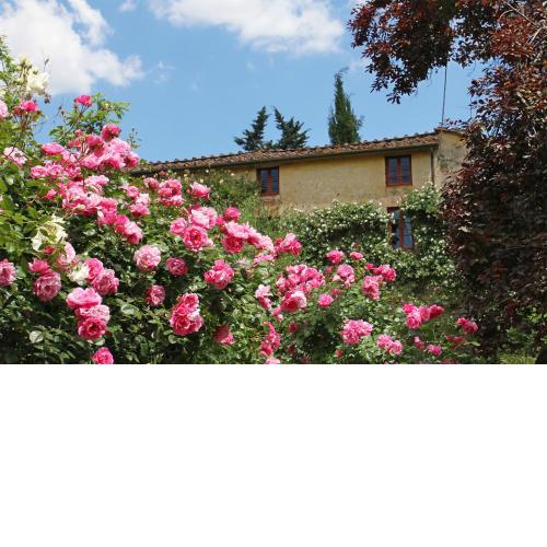Agriturismo Mansi Bernardini
