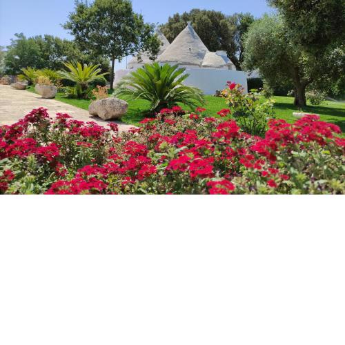 Agriturismo Masseria Casedde Vecchie