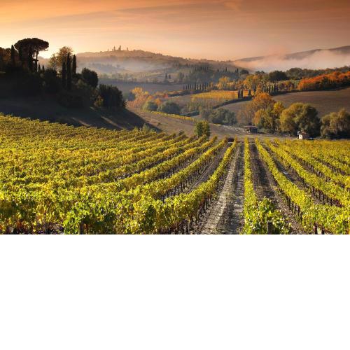Agriturismo Mormoraia