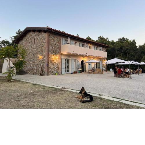 Agriturismo Pian del Pruno