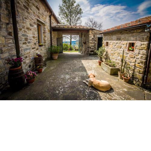 Agriturismo Podere il Palagio