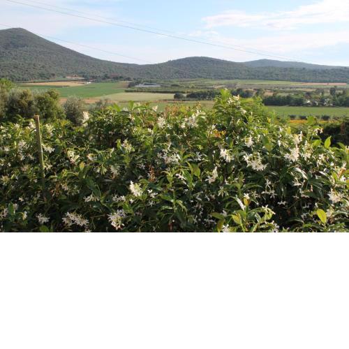 Agriturismo Podere Montenero
