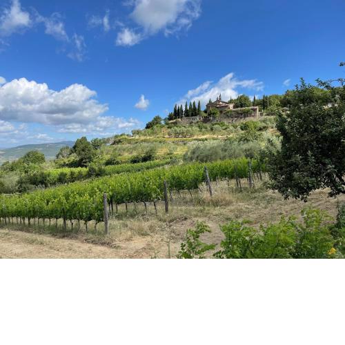 Agriturismo Podere Querceto