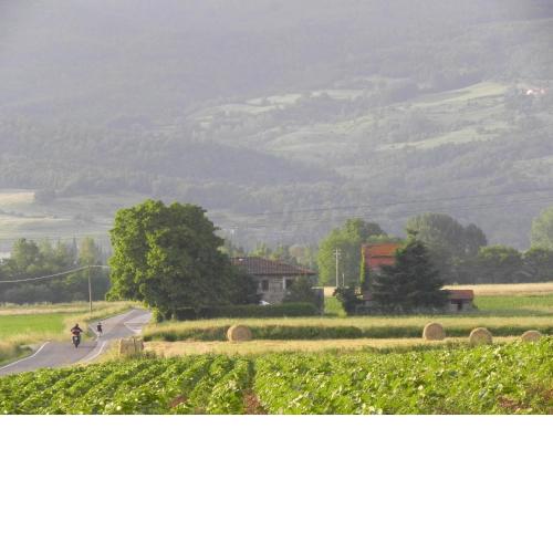 Agriturismo Poderi Minori