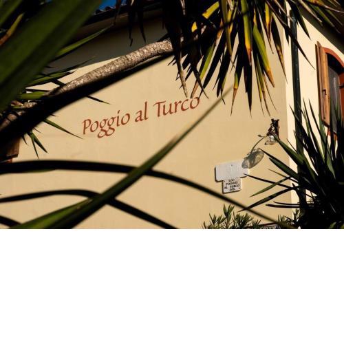 Agriturismo Poggio al Turco - Vista Toscana