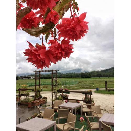Agriturismo San Floreano