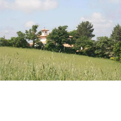 Agriturismo San Martino