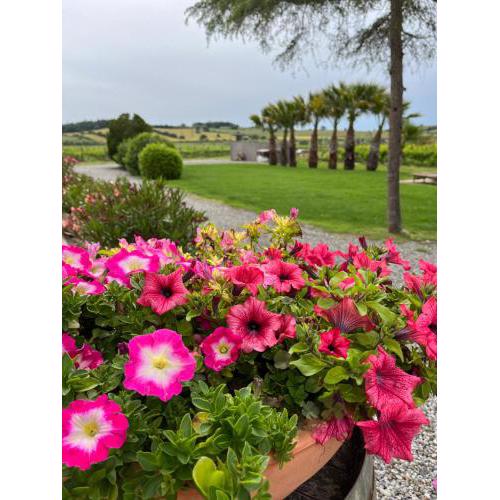 Agriturismo Santa Lucia