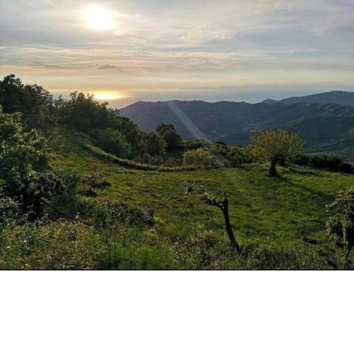 Agriturismo Sant'Arcangelo