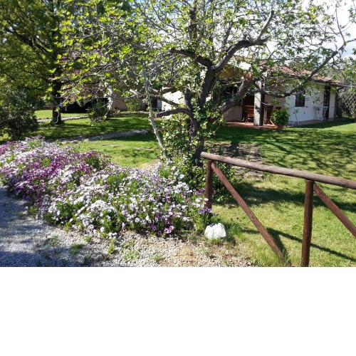 Agriturismo Sicomoro