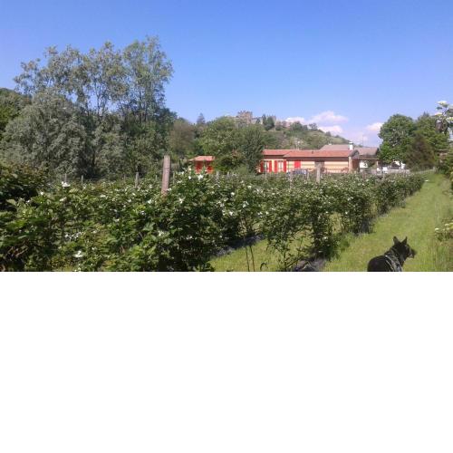 Agriturismo Terra e Lago d'Iseo Franciacorta