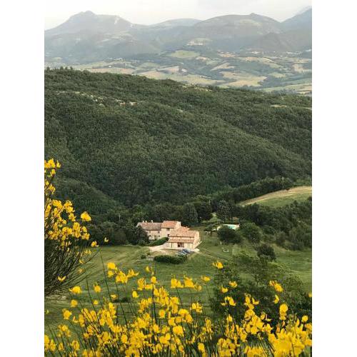 Marche 