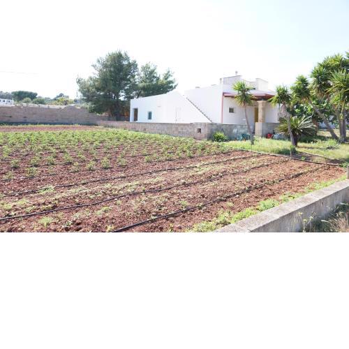 Agromarino Leuca
