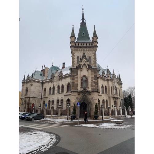 AH Puškinova
