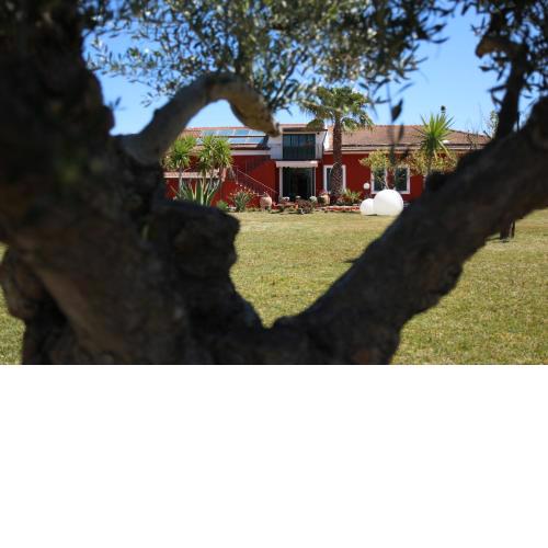 Airport Farmhouse Pirrera