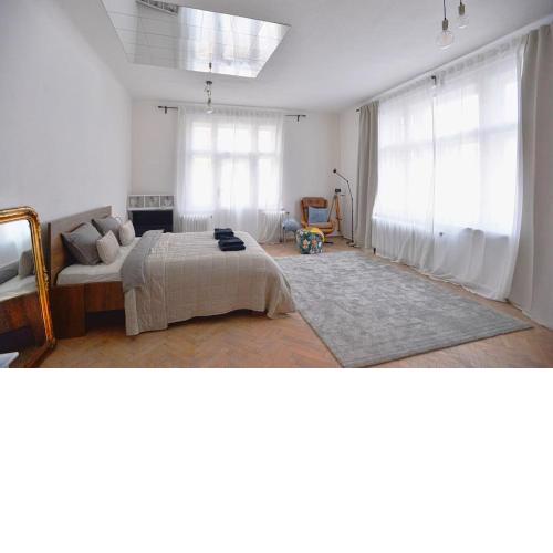 Airy & Bright Flat in Dejvice by Prague Castle