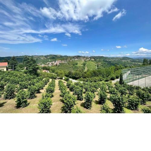Al Belvedere vista Langhe