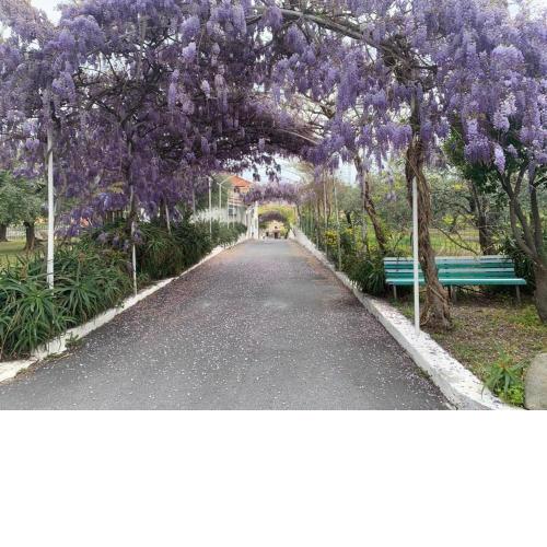 Al Borgo Village