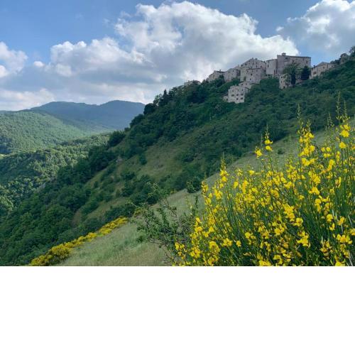 Al Castello di Elcito