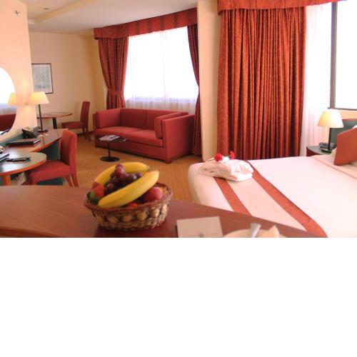 Al Diar Dana Hotel