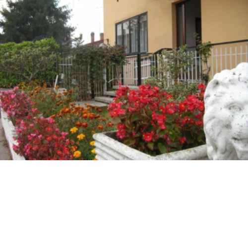 Al Gallo Cividale- mansarda o piano terra