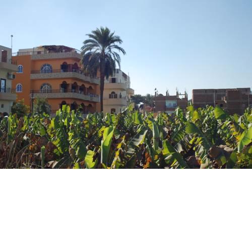Al Gezera Apartments