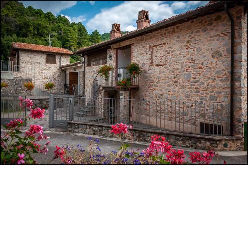 Al Giardino degli Ulivi